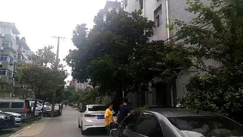 南公村小区爆料视频,真实生活场景引发热议  第2张