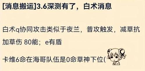 原神白术最新爆料消息,神秘术士觉醒,神秘力量即将揭晓 第1张 原神白术最新爆料消息,神秘术士觉醒,神秘力量即将揭晓 第1张